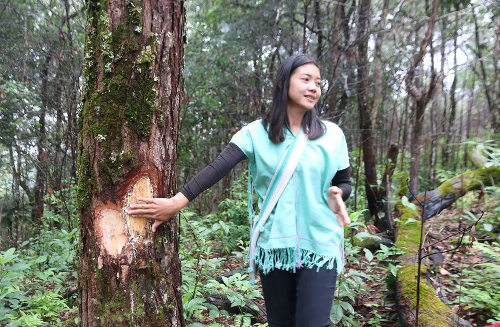 ยกระดับการเที่ยวไทย สู่ การเที่ยวนอกฤดู ผ่านนวัตกรรมร่วมสมัย
