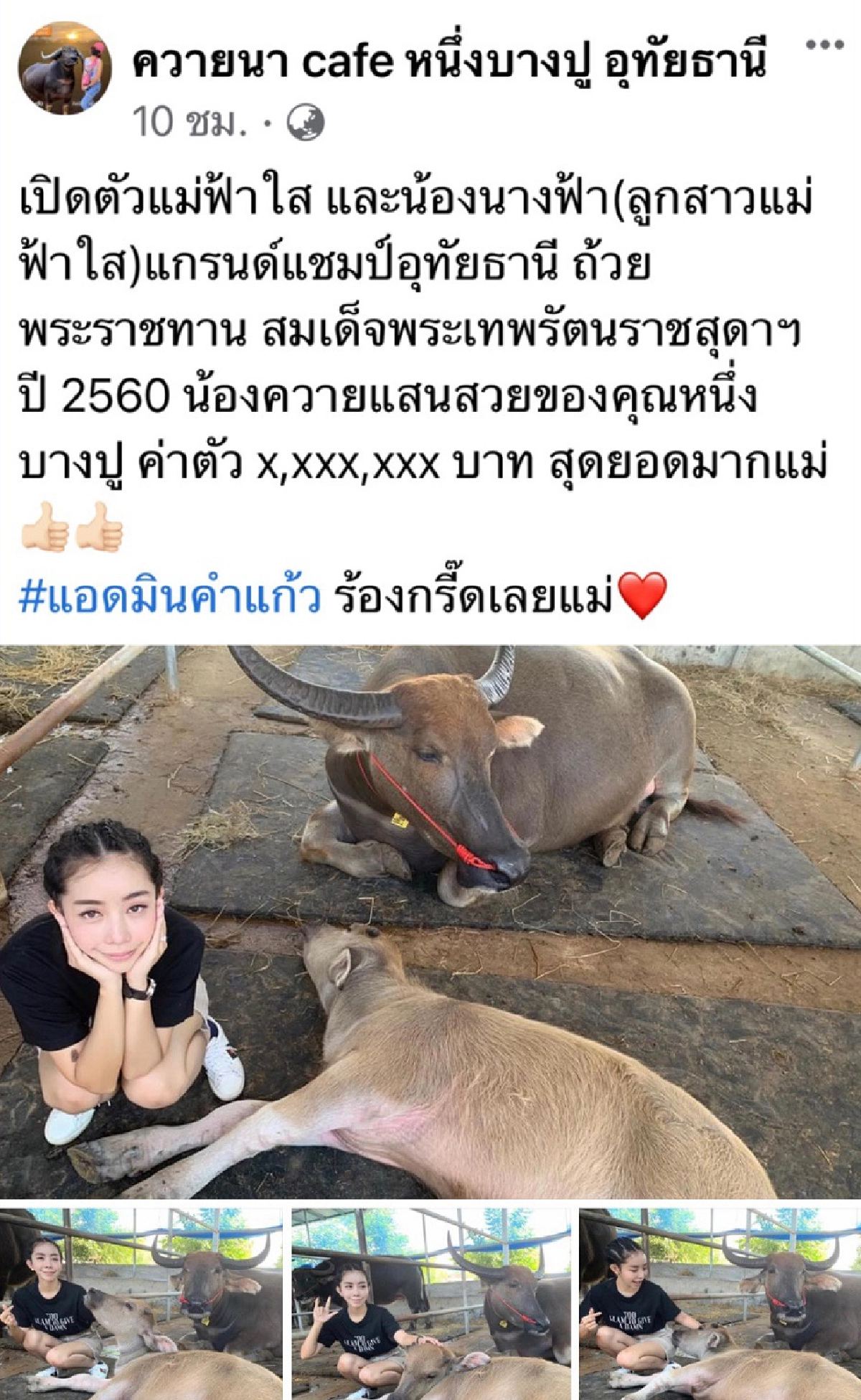 โดนแซะว่าปลอม หนึ่ง บางปู โพสต์ภาพเลี้ยงควายราคาหลักล้าน