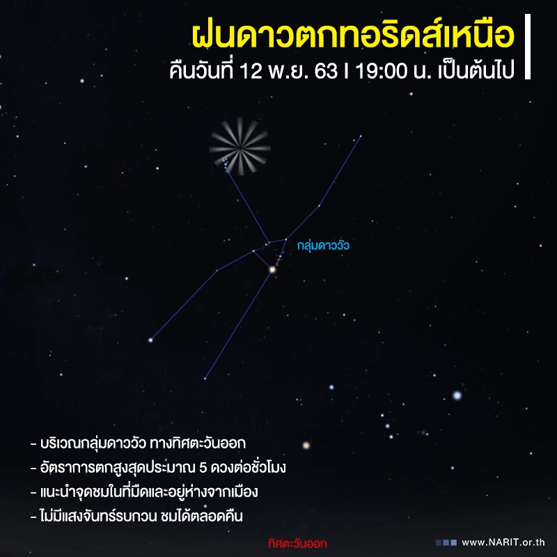 คืนนี้อย่าลืมดู ฝนดาวตกทอริดส์เหนือ ชมได้ทั่วประเทศตลอดทั้งคืน