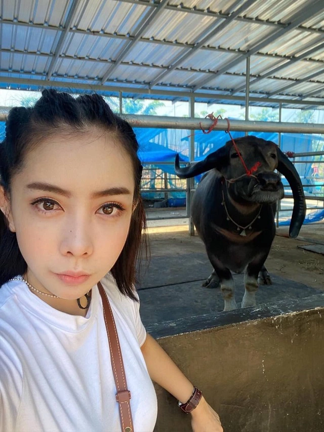 รวยเว่อร์วังปังปูริเย่ หนึ่ง บางปู ซื้อควายมูลค่า 100 ล้าน ไว้ดูเล่น