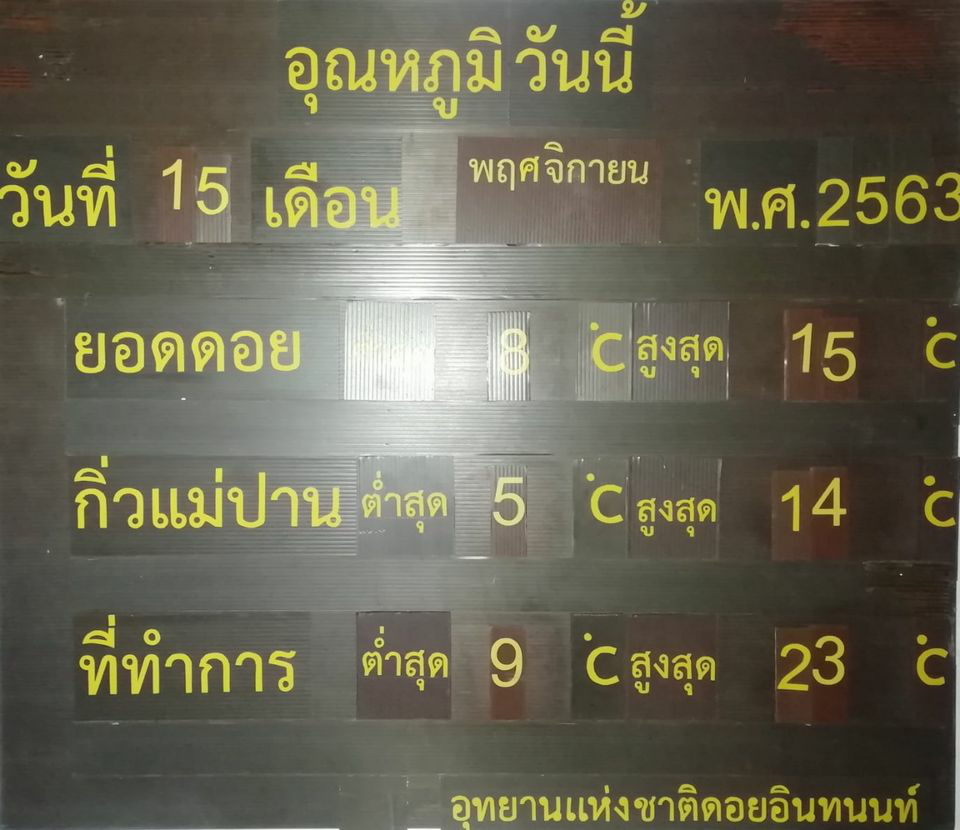 "ดอยอินทนนท์" หนาวจัด! "เหมยขาบ" แรกของปี โผล่อวดโฉมนักท่องเที่ยว