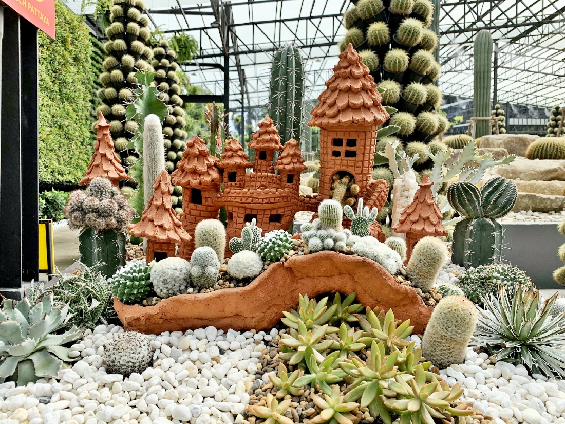 สวนนงนุชพัทยาเปิดให้ชาวชลบุรี 10 จังหวัดภาคเหนือ 10 เขต กทม. เที่ยวชมสวนฟรี