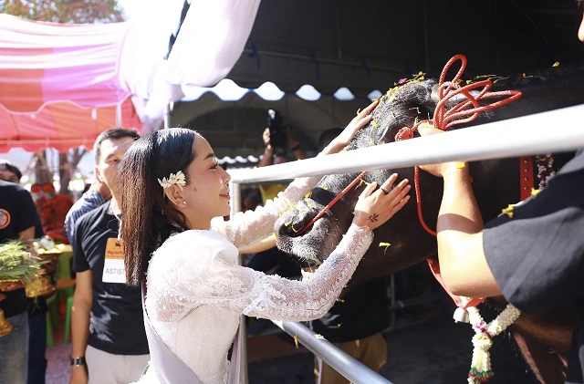 Big Buffalo Music Festival หนึ่ง บางปู ขนทัพศิลปินเล่นคอนเสิร์ต