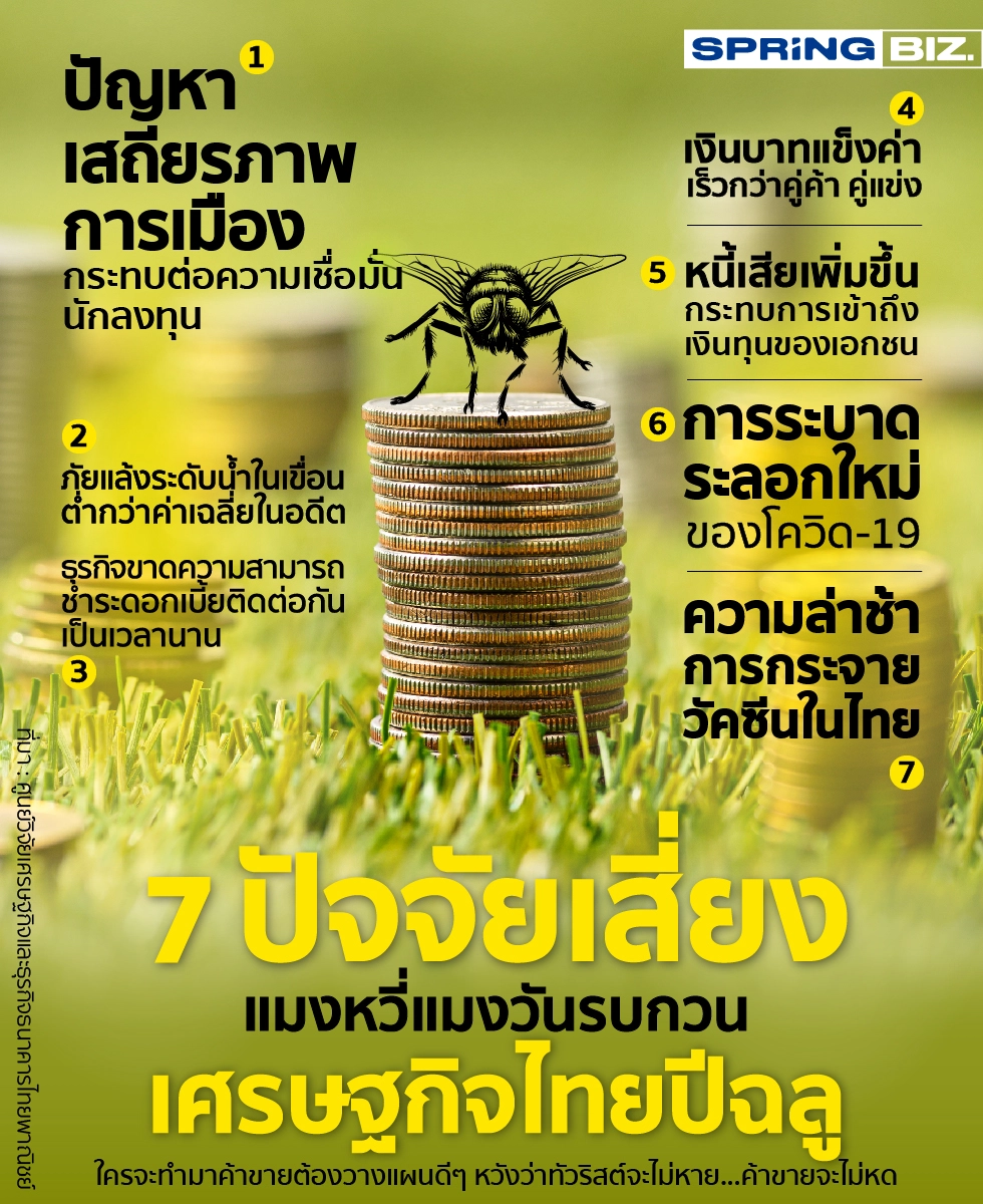 เปิด 7 ปัจจัยเสี่ยงแมงหวี่แมงวันรบกวนเศรษฐกิจไทยปีฉลู