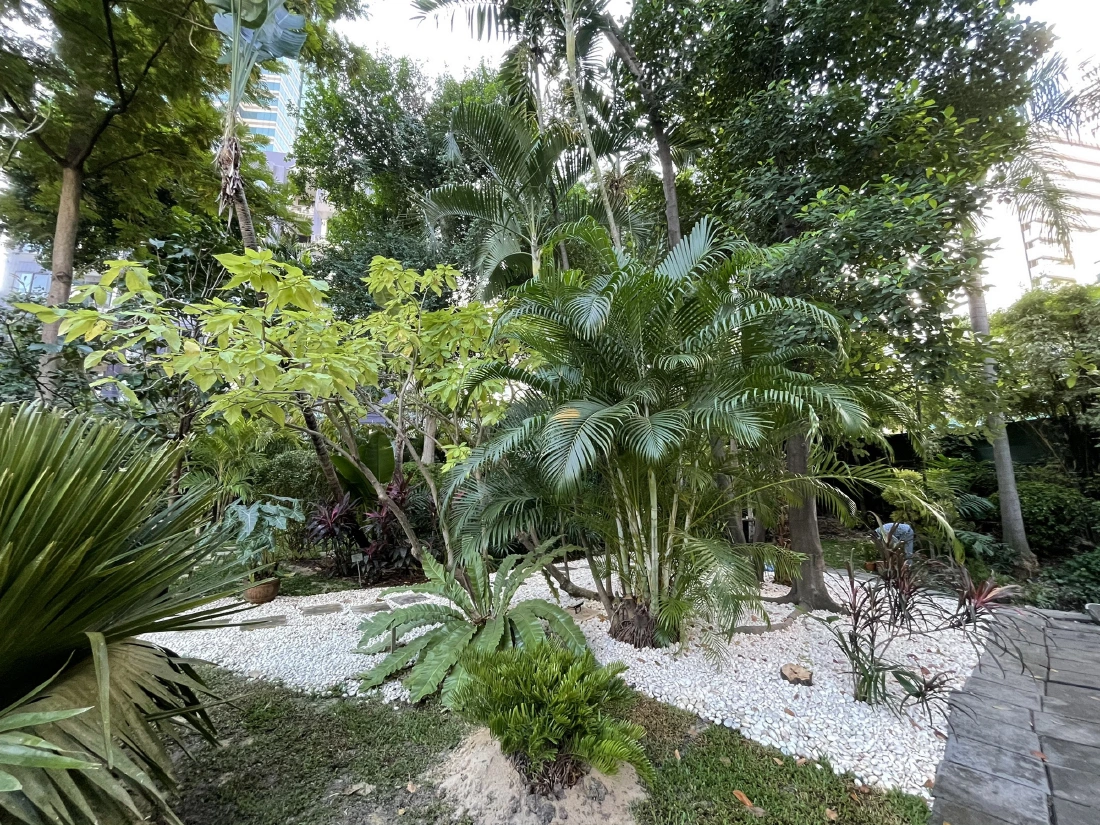 สวนนงนุช เนรมิตสวนมิตรภาพในสถานทูตเบลเยียม สวนที่ 10 เป็นของขวัญปีใหม่