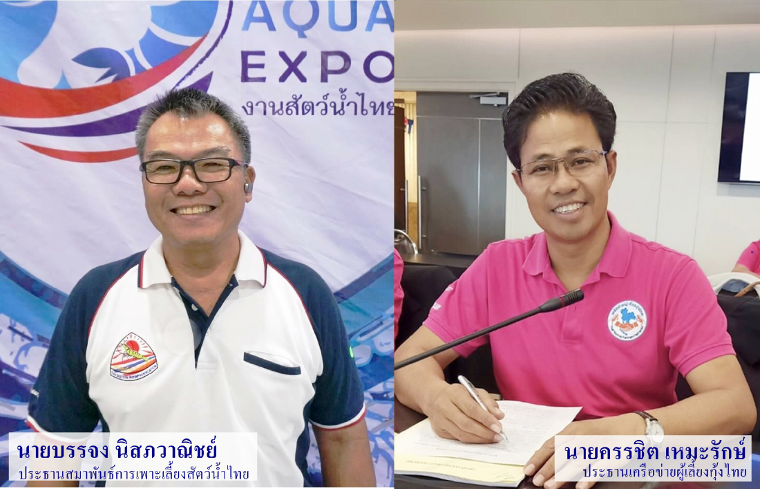 สมาคมกุ้งไทย ย้ำ กุ้งไทย ไร้โควิด คุมมาตรฐานการผลิตเข้ม