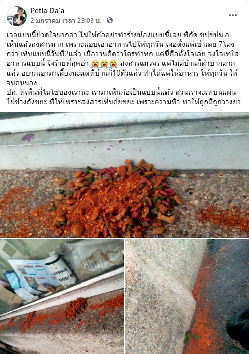 สาวช้ำใจ ให้อาหารแมวจรทุกวัน เจอมือดีเทพริกป่นใส่ทั่ว