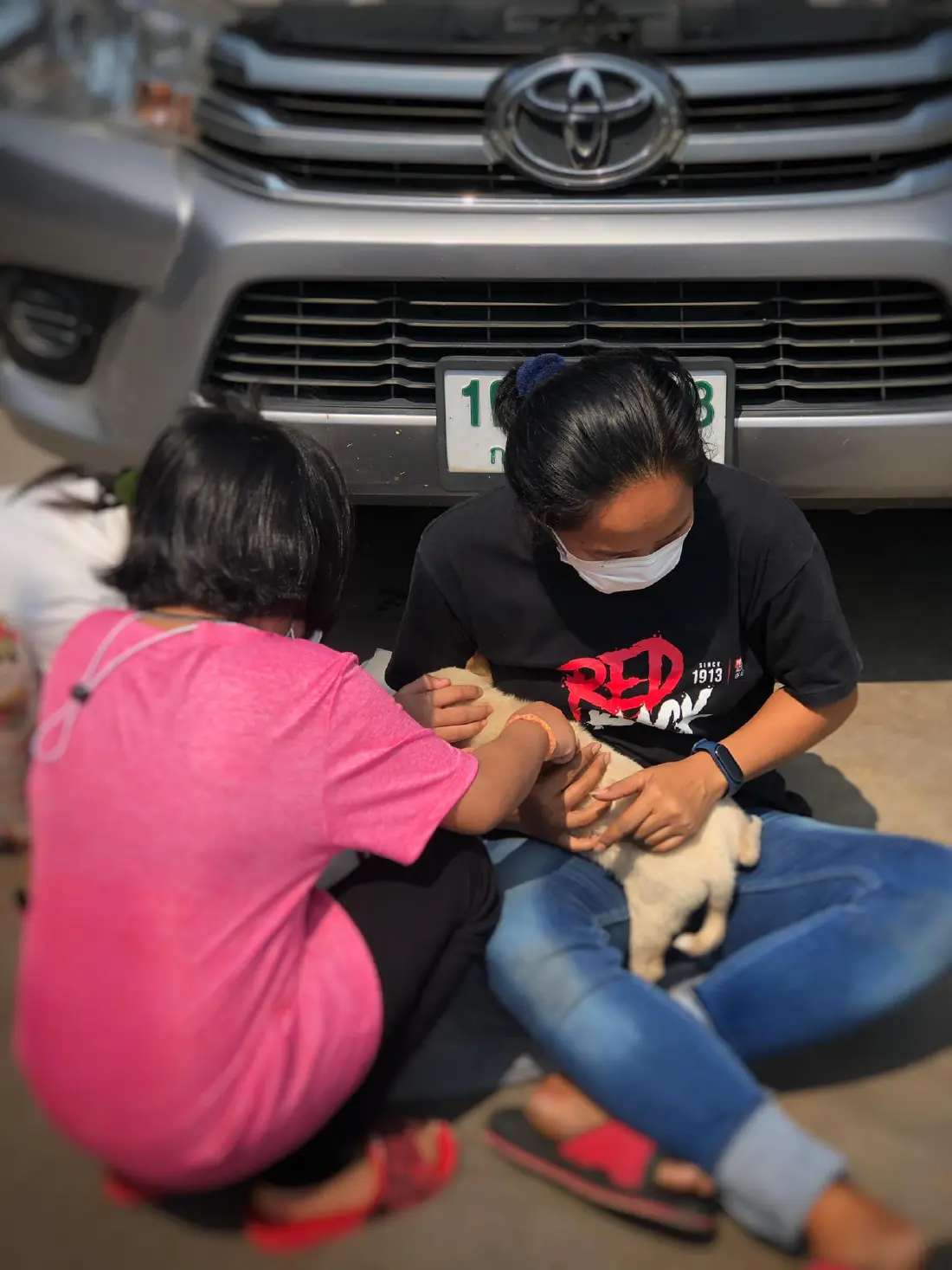หนุ่มเล่าประสบการณ์เจอลูกหมา แอบติดใต้ท้องรถจาก แก่งกระจาน-บางบัวทอง