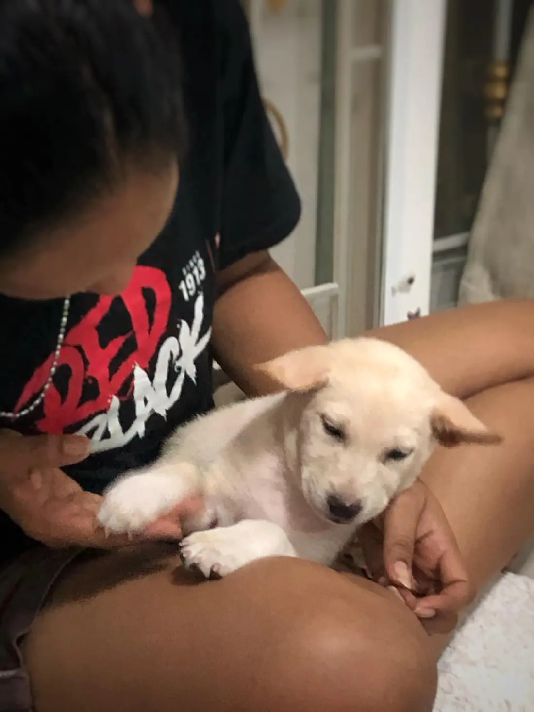 หนุ่มเล่าประสบการณ์เจอลูกหมา แอบติดใต้ท้องรถจาก แก่งกระจาน-บางบัวทอง