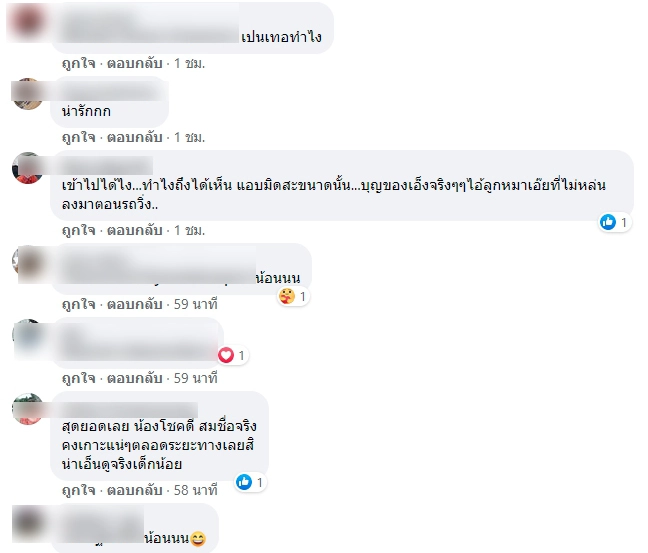 หนุ่มเล่าประสบการณ์เจอลูกหมา แอบติดใต้ท้องรถจาก แก่งกระจาน-บางบัวทอง