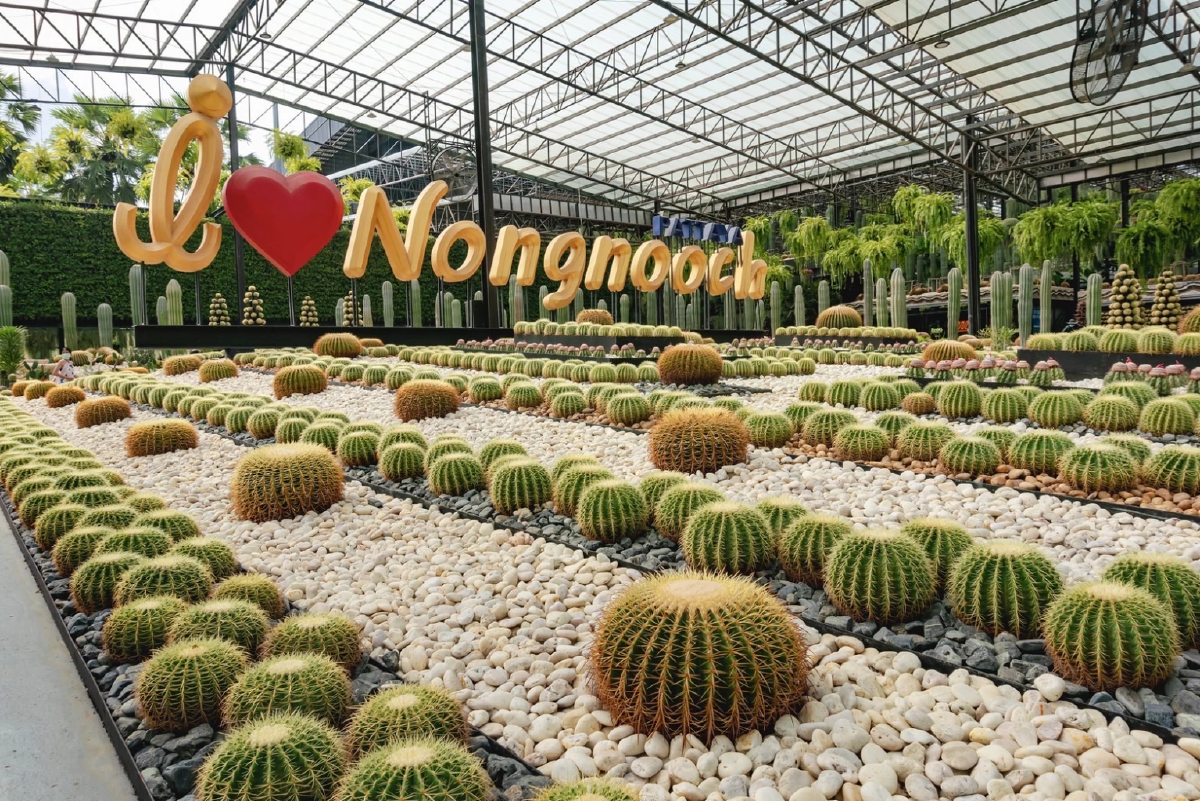 สวนนงนุชพัทยา ขยายโปรโมชั่น ซื้อ 1 ฟรี 1 ต้อนรับลมหนาว ตลอดเดือนพฤศจิกายน