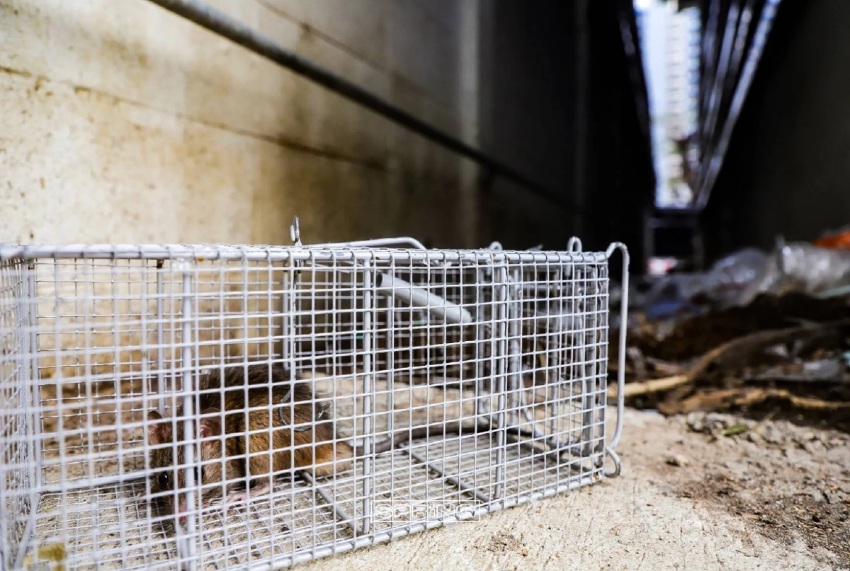 บุกจับกองทัพหนู ระลอกสุดท้าย ณ กองปราบปราม 