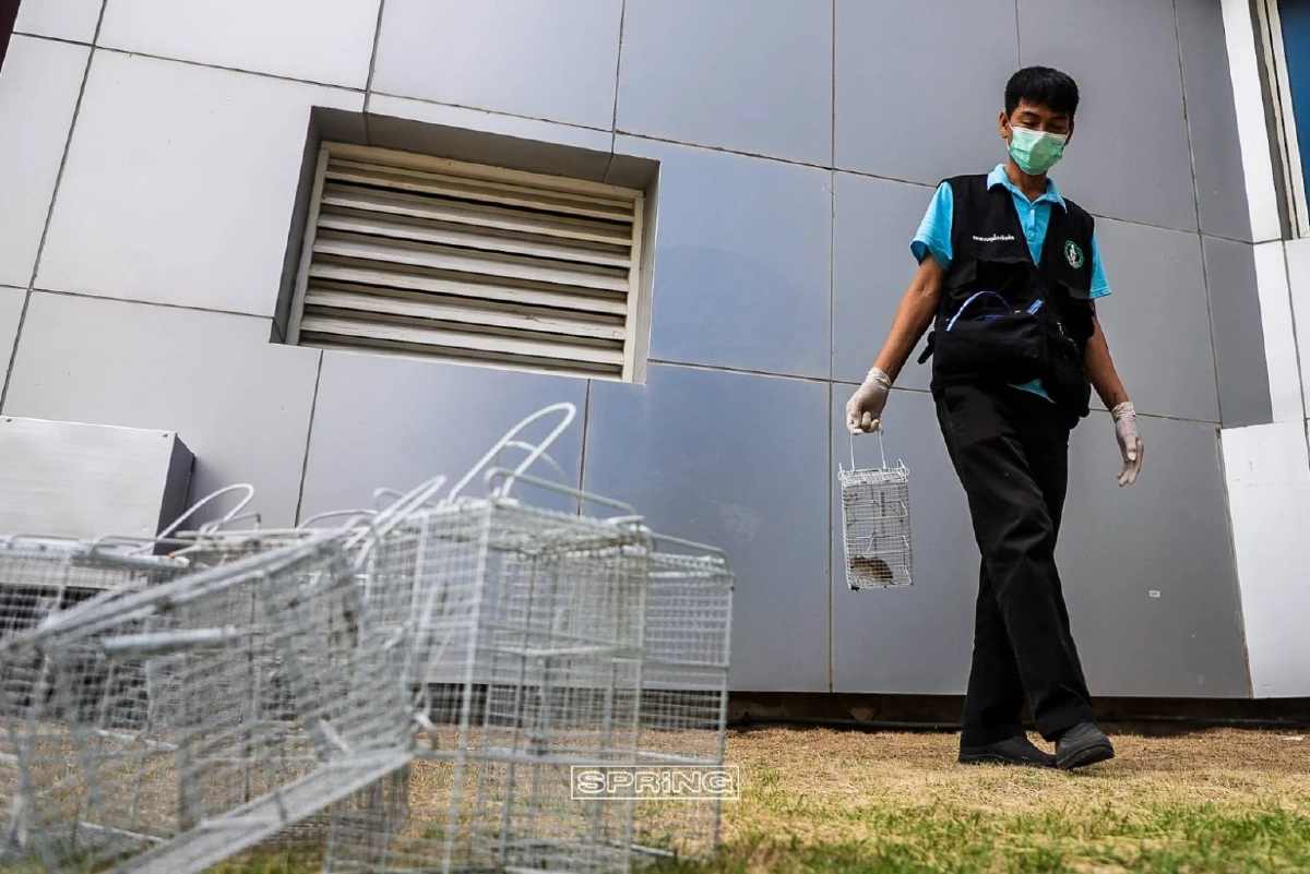 บุกจับกองทัพหนู ระลอกสุดท้าย ณ กองปราบปราม 