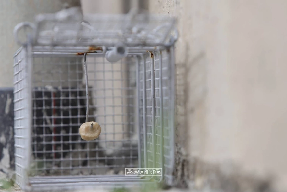 บุกจับกองทัพหนู ระลอกสุดท้าย ณ กองปราบปราม 