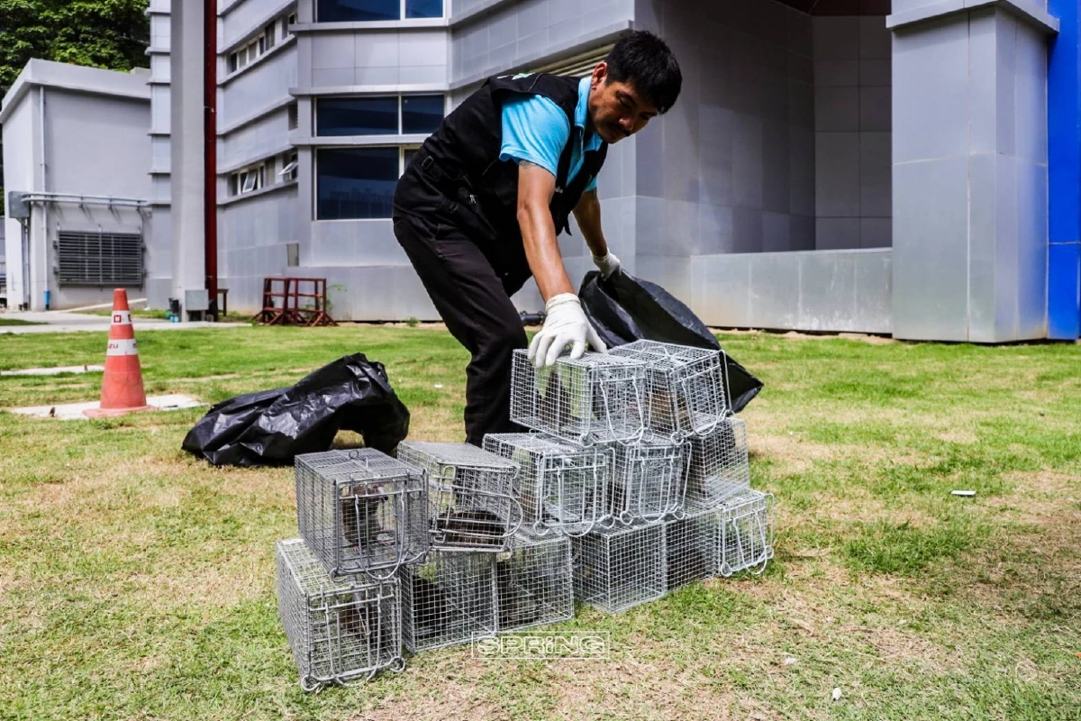 บุกจับกองทัพหนู ระลอกสุดท้าย ณ กองปราบปราม 