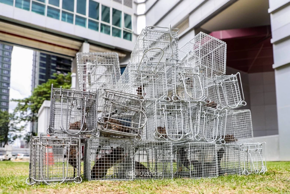 บุกจับกองทัพหนู ระลอกสุดท้าย ณ กองปราบปราม 