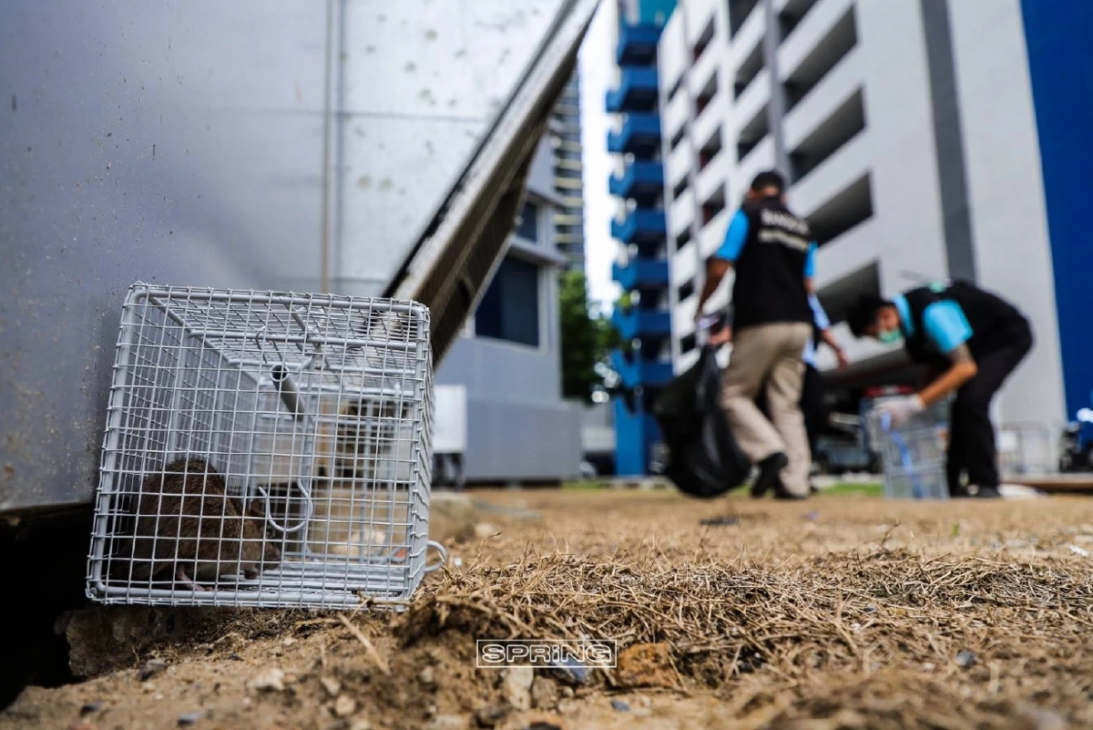 บุกจับกองทัพหนู ระลอกสุดท้าย ณ กองปราบปราม 