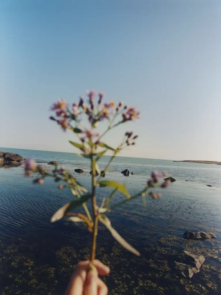 L:a Bruket แบรนด์ Premium and Organic Skincare จากสวีเดน เรียนรู้ศาสตร์สปาอันเก่าแก่และพลังแห่งธรรมชาติแบบสแกนดิเนเวีย