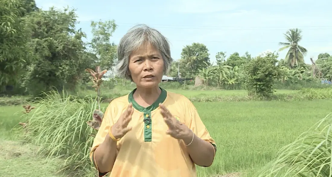 โครงการพัฒนาฯเกษตรอินทรีย์ครบวงจร จ.สุรินทร์ ช่วยยกระดับ-เพิ่มมูลค่าสูง
