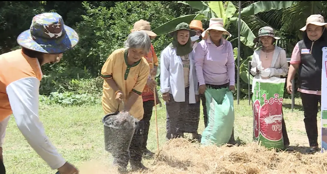 โครงการพัฒนาฯเกษตรอินทรีย์ครบวงจร จ.สุรินทร์ ช่วยยกระดับ-เพิ่มมูลค่าสูง