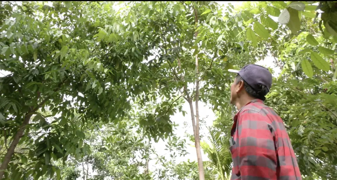 ถอดบทเรียนเกษตรกรต้นแบบ Zoning by Agri-Map สร้างรายได้และคุณภาพชีวิตดีขึ้น