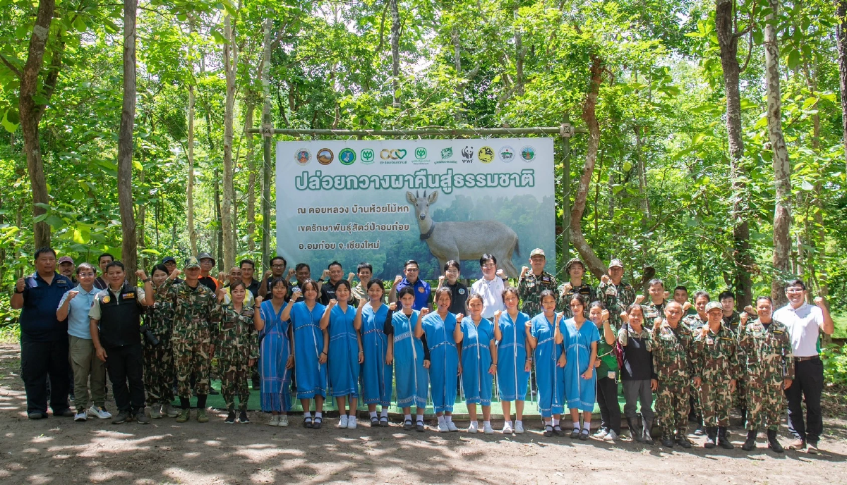 มูลนิธิซีพี ผนึกกำลังภาครัฐ-ชุมชน ปล่อย กวางผา สัตว์ป่าสงวนคืนสู่ธรรมชาติ