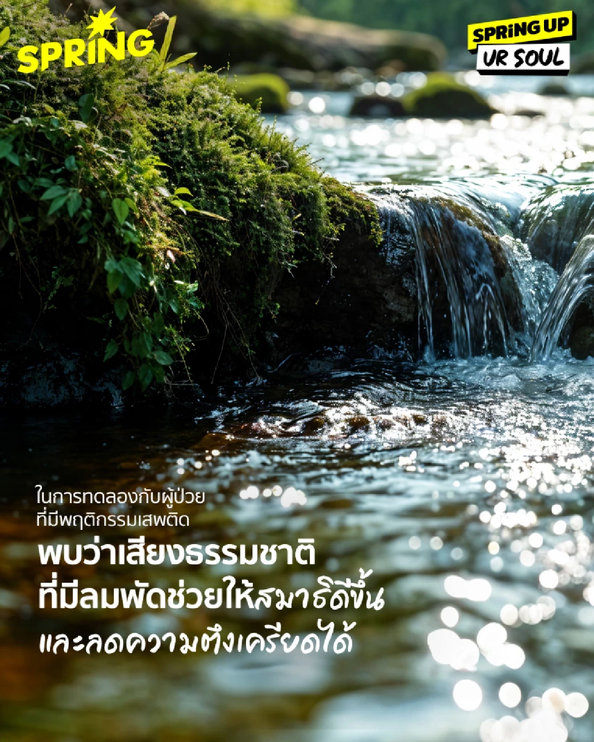 จริงไหม? ฟังเสียงธรรมชาติวันละ 5-10 นาที ช่วยเยียวยาจิตใจ ลดความเจ็บปวด