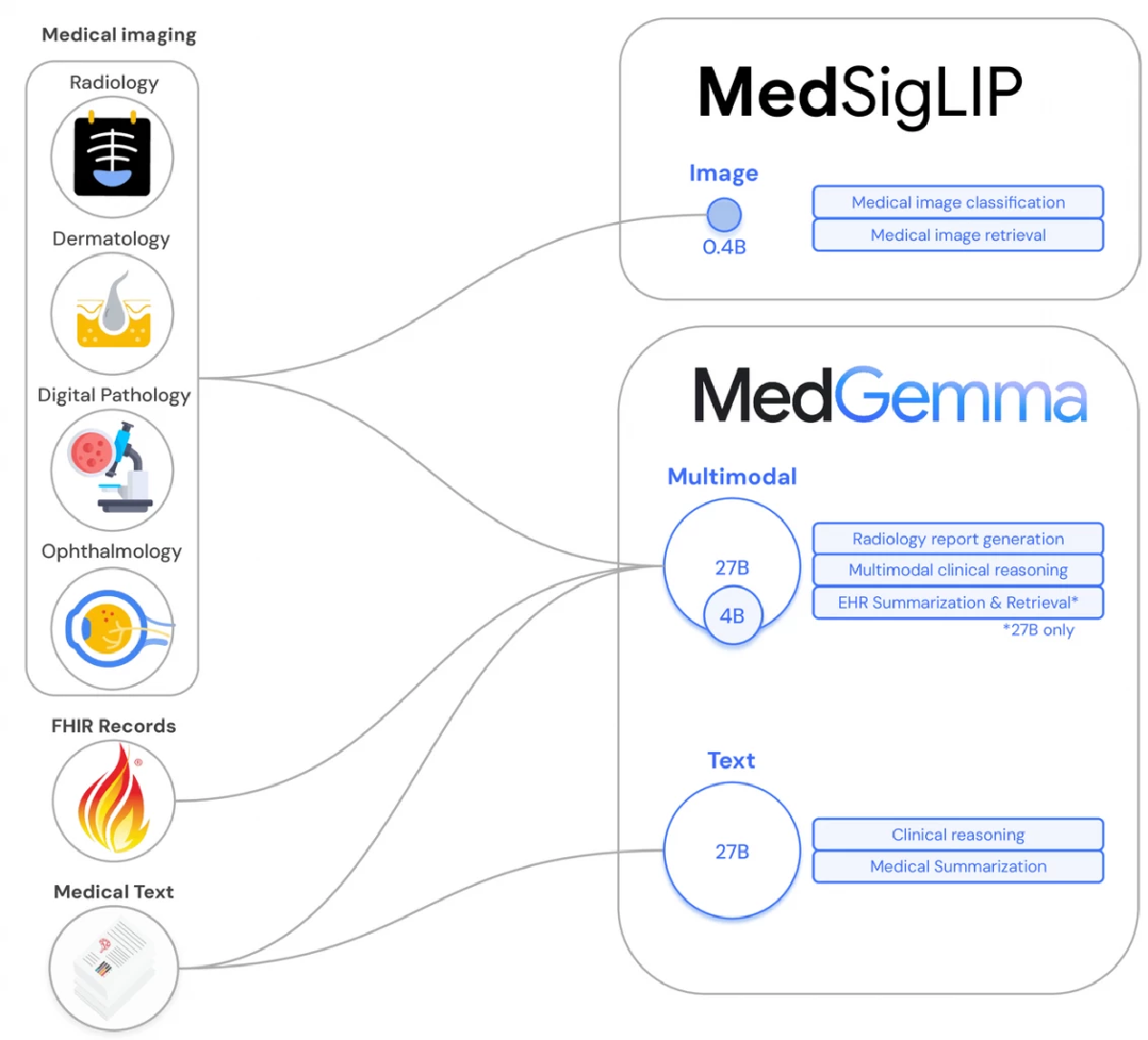 Google เปิดตัว MedGemma - MedSigLIP นวัตกรรม AI ด้านสุขภาพ - ผู้ช่วยหมอดิจิทัล