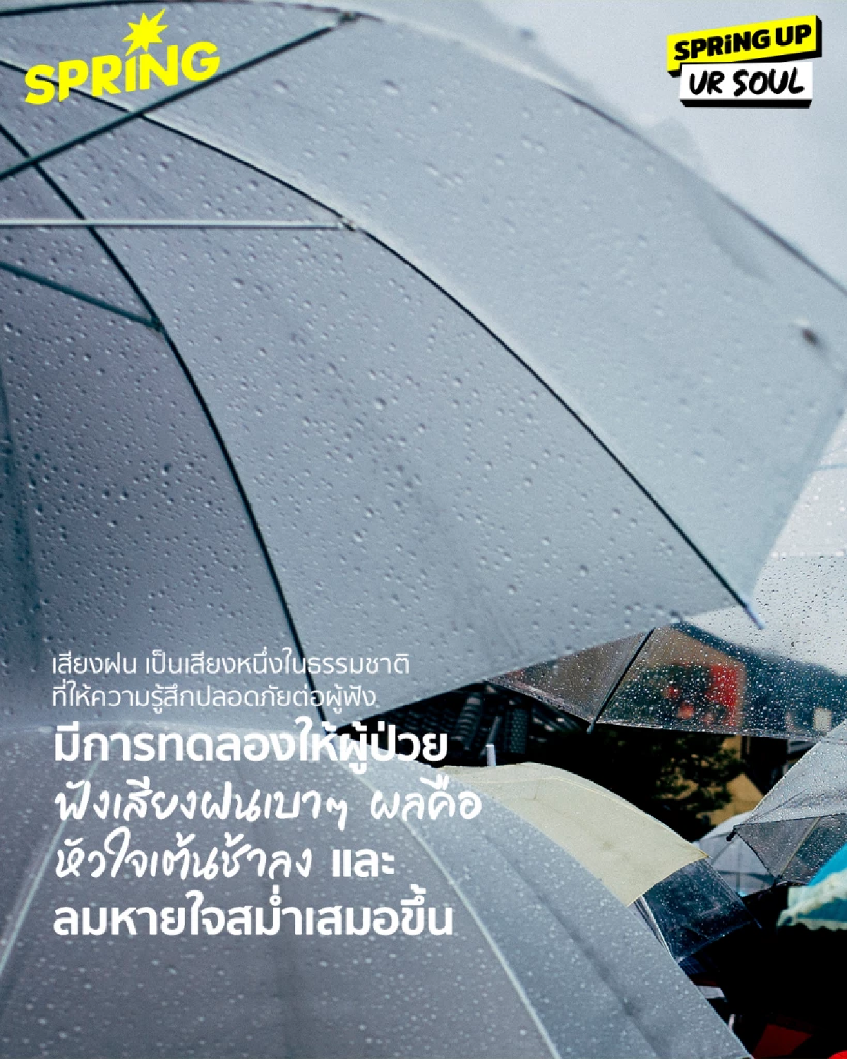 จริงไหม? ฟังเสียงธรรมชาติวันละ 5-10 นาที ช่วยเยียวยาจิตใจ ลดความเจ็บปวด