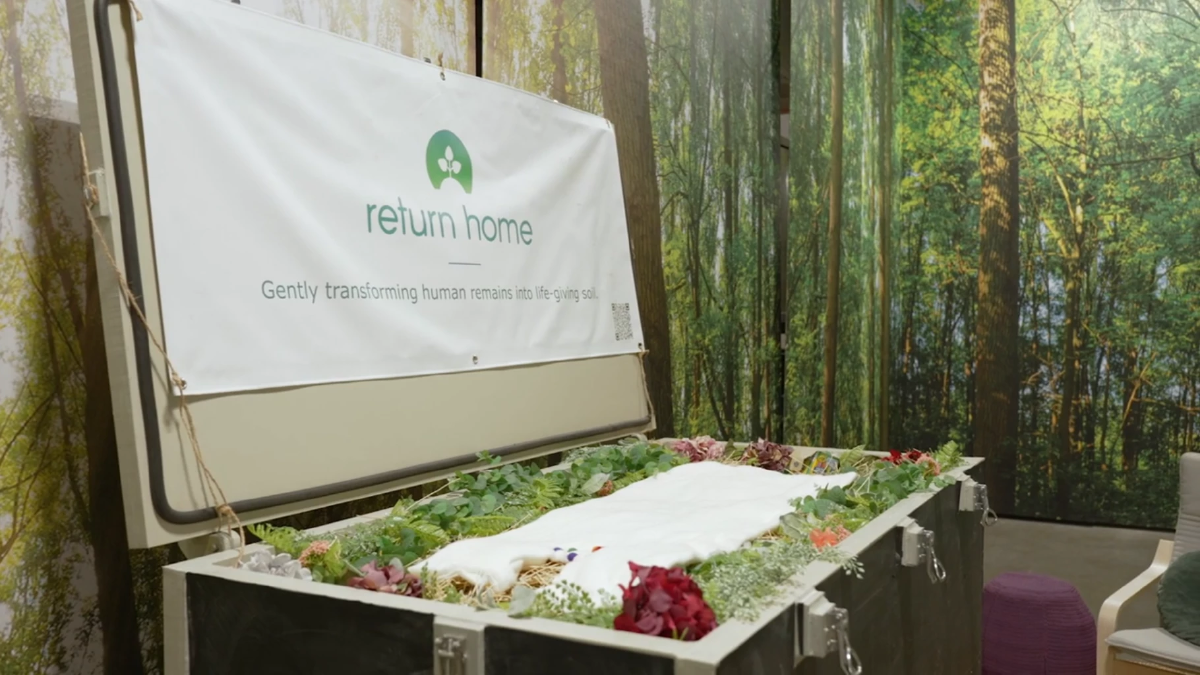 PHOTO Return Home