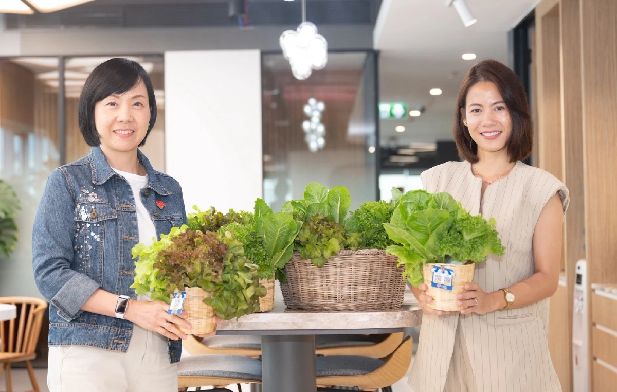 หนุน SME คนตัวเล็ก เข้าถึงการชำระเงินดิจิทัล ปลอดภัย สากล ค่าธรรมเนียมเป็นมิตร