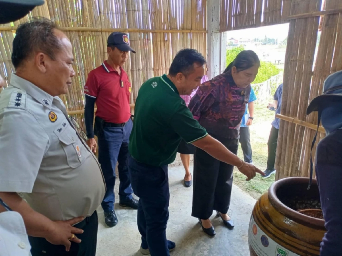 หลายหน่วยงานลุยจับ ‘ปลาหมอคางดำ’ ทำ น้ำปลาหับเผย ขาย พ.ย. นี้