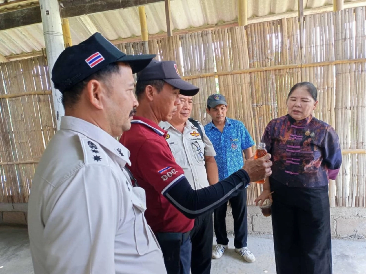 หลายหน่วยงานลุยจับ ‘ปลาหมอคางดำ’ ทำ น้ำปลาหับเผย ขาย พ.ย. นี้