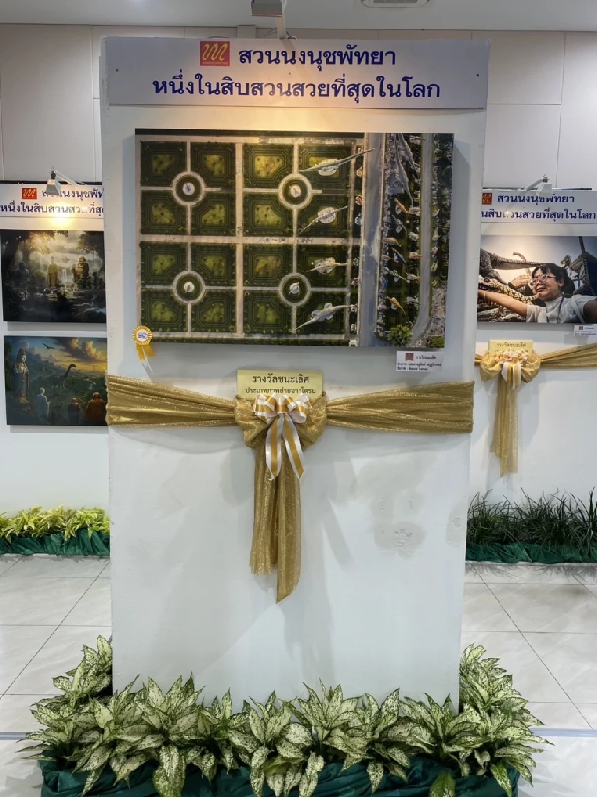 สวนนงนุช มอบรางวัลประกวดภาพถ่าย “Wonderful Nongnooch Garden 2025”