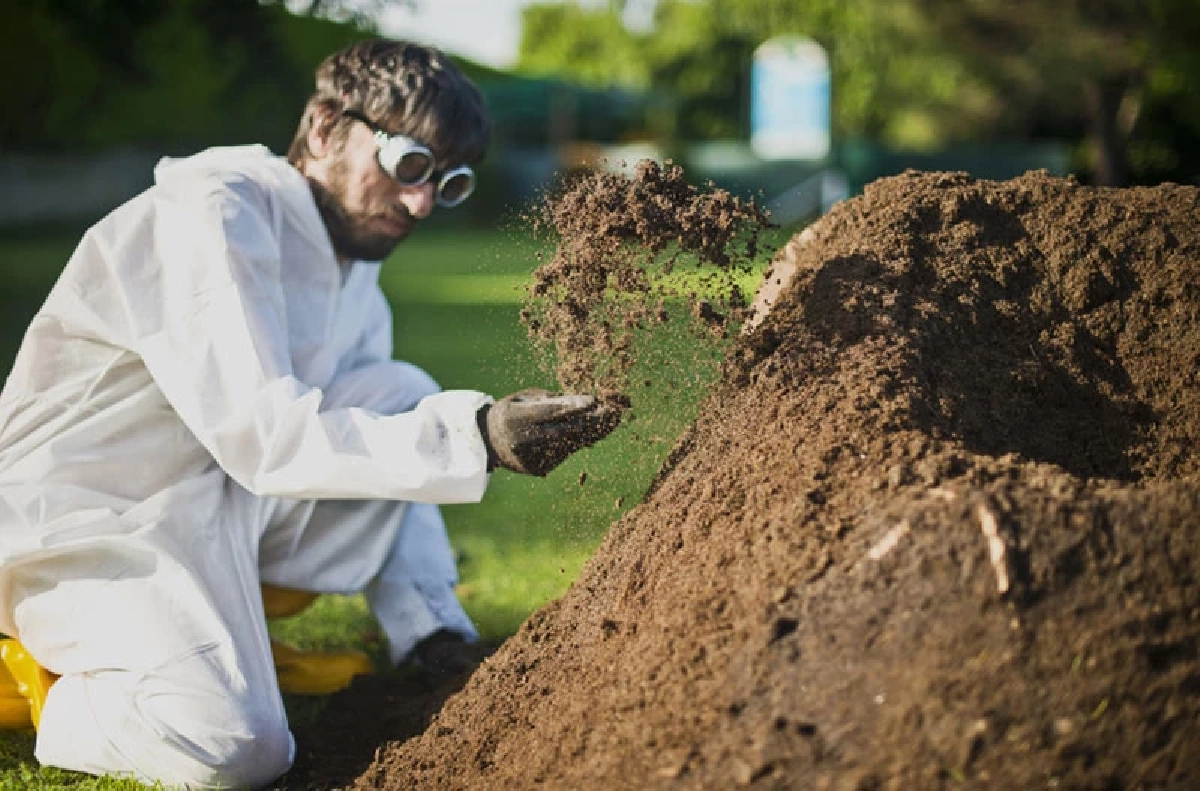 Terra Chair เก้าอี้ที่เราปลูกได้เองในสวนหลังบ้าน ไม่เป็นภาระโลก