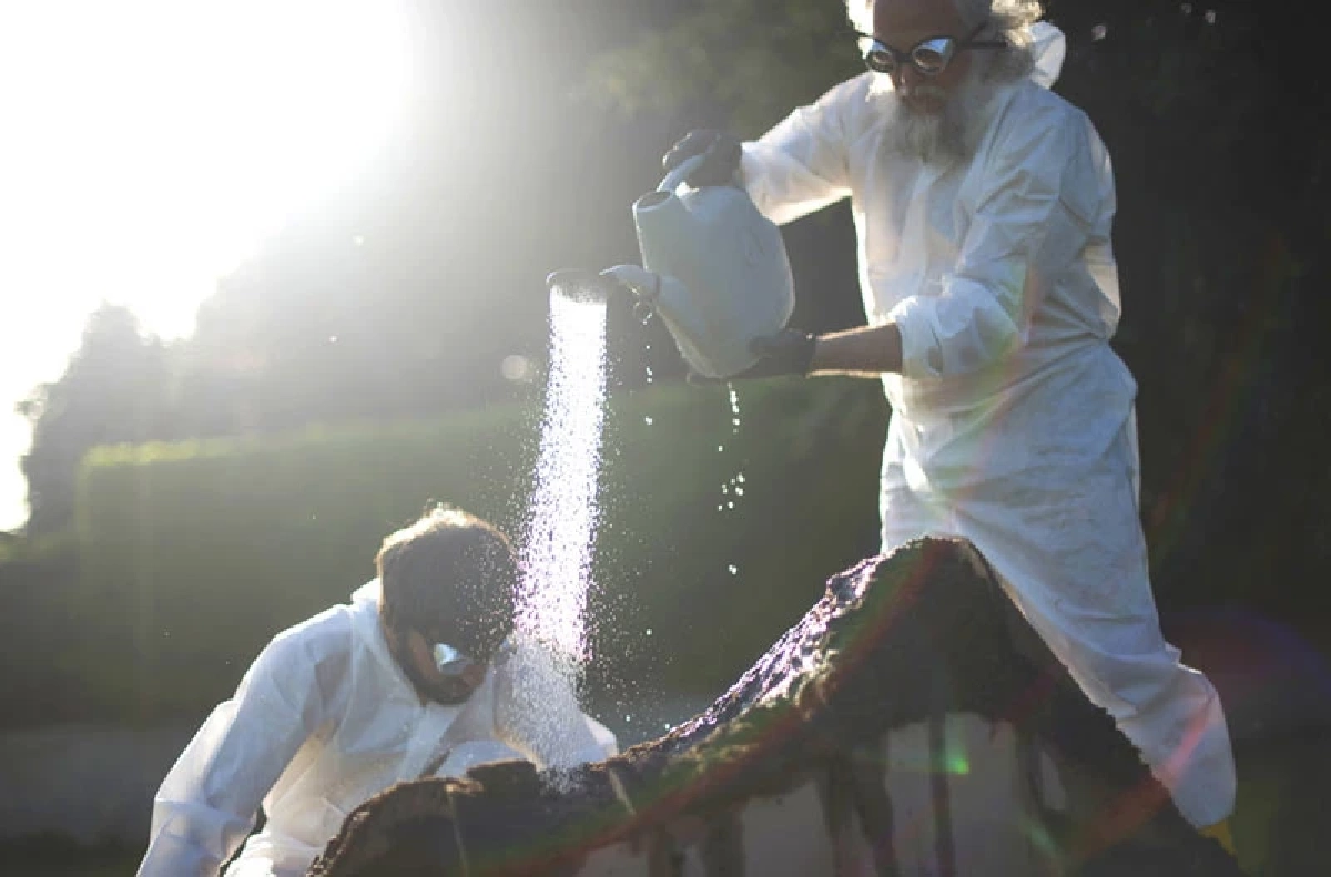 Terra Chair เก้าอี้ที่เราปลูกได้เองในสวนหลังบ้าน ไม่เป็นภาระโลก