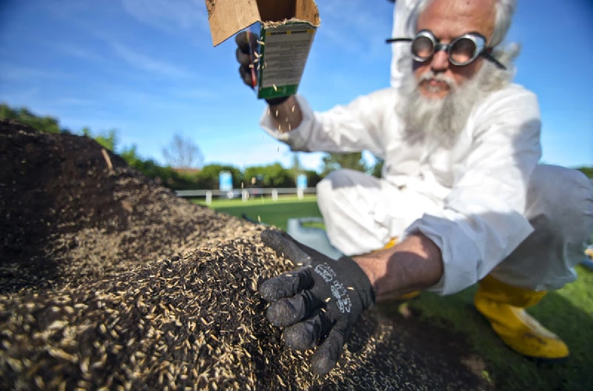 Terra Chair เก้าอี้ที่เราปลูกได้เองในสวนหลังบ้าน ไม่เป็นภาระโลก