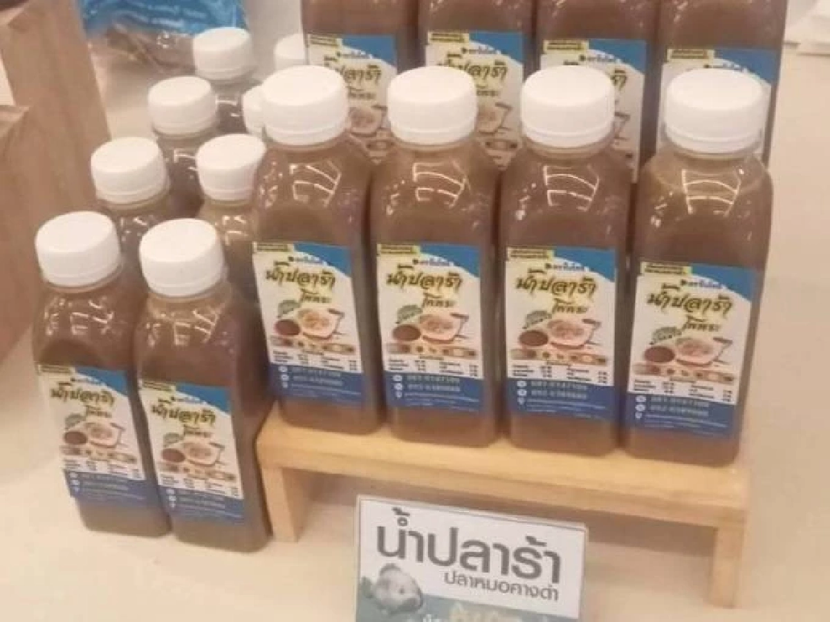 กรมประมงชี้ ปลาหมอคางดำลดลงแล้ว สะท้อนผลสำเร็จมาตรการบูรณาการทั่วประเทศ