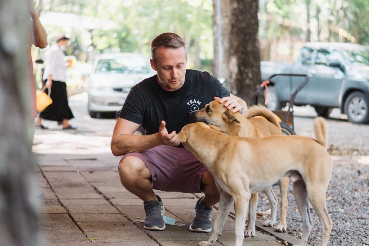 เร่งแก้ปัญหา ‘สุนัขจรจัด’ ชวนคนโสด-เหงา รับเลี้ยงดูต่อจากศูนย์พักพิง