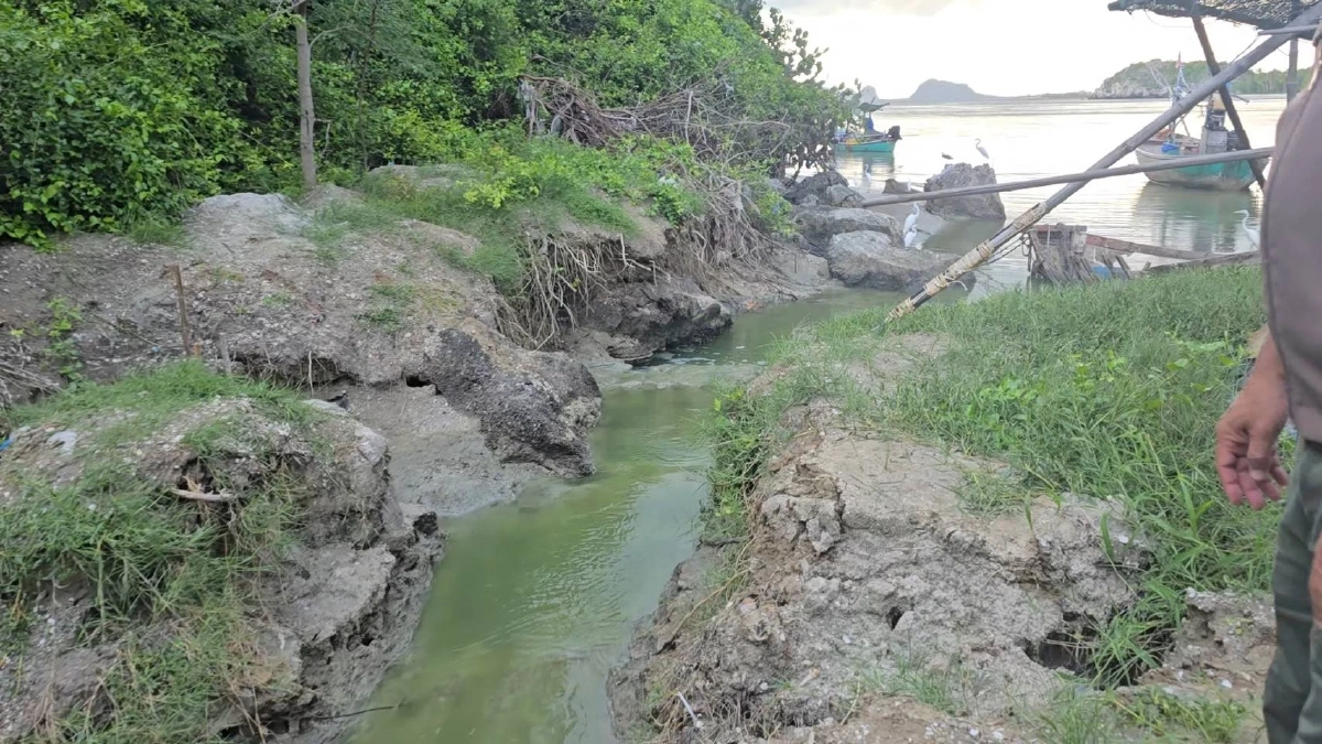 ลุยทวงคืนป่าชายเลน 141 ไร่ หลังพบลักลอบขุดร่องน้ำปล่อยลงทะเล ทำลายระบบนิเวศ