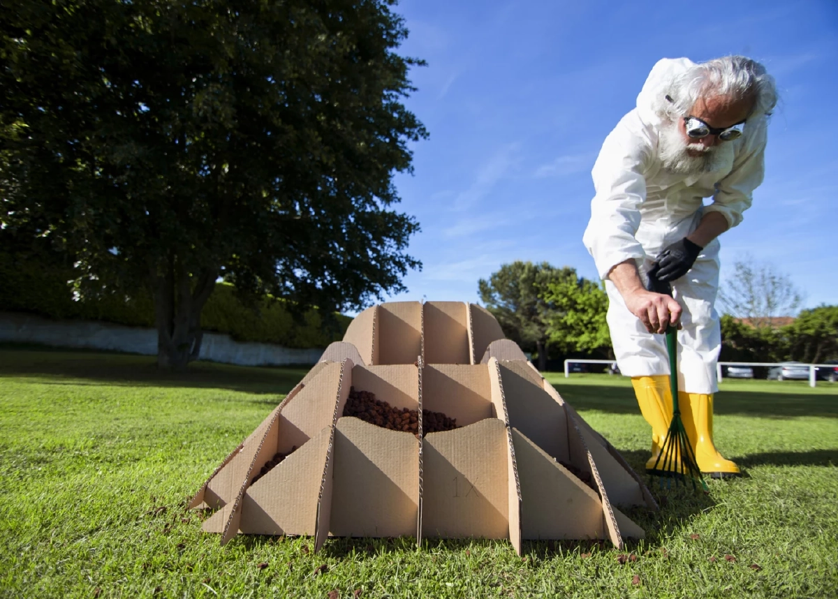 Terra Chair เก้าอี้ที่เราปลูกได้เองในสวนหลังบ้าน ไม่เป็นภาระโลก