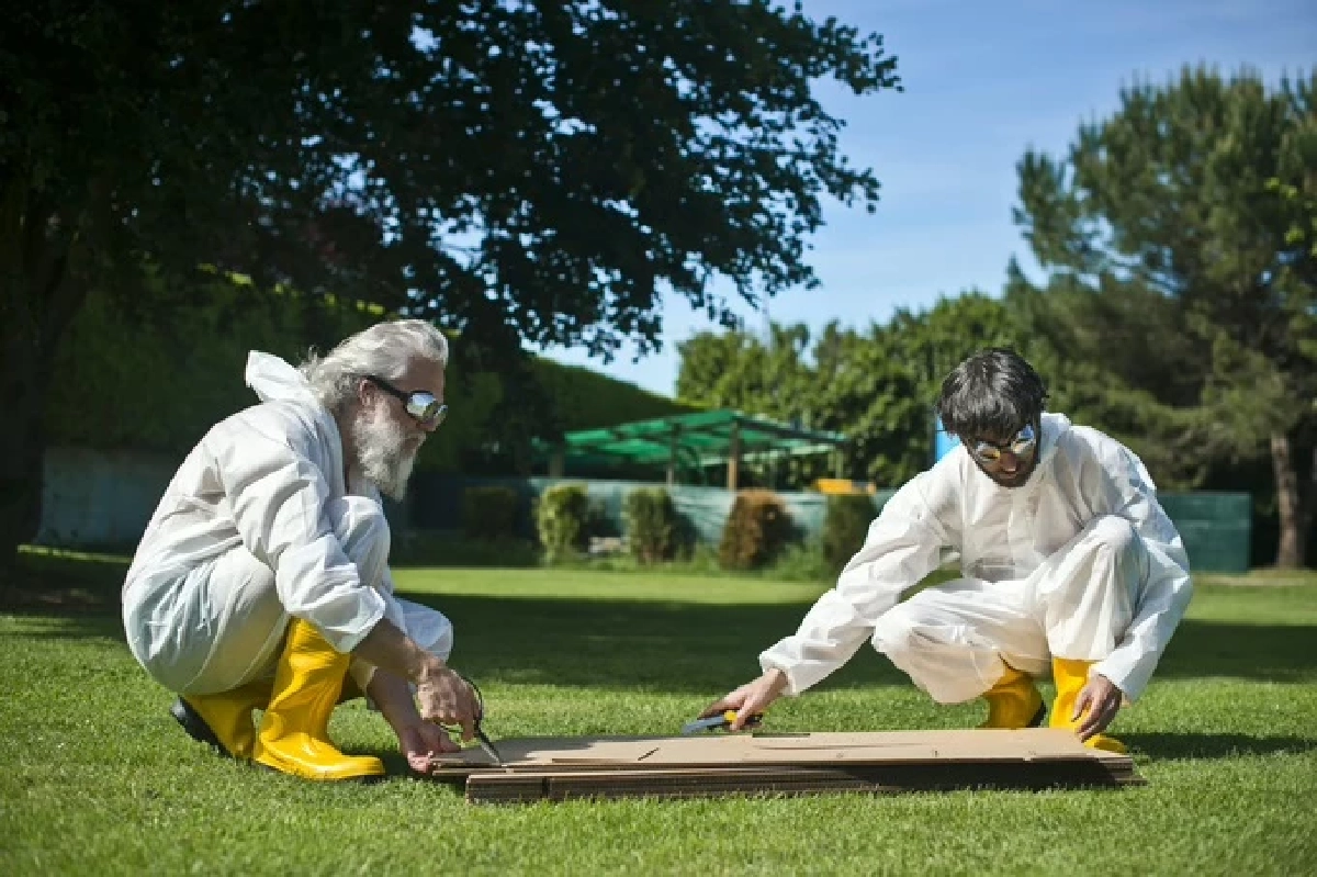 Terra Chair เก้าอี้ที่เราปลูกได้เองในสวนหลังบ้าน ไม่เป็นภาระโลก