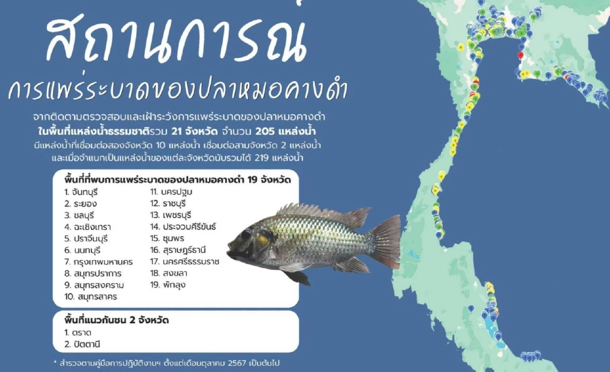 กรมประมงชี้ ปลาหมอคางดำลดลงแล้ว สะท้อนผลสำเร็จมาตรการบูรณาการทั่วประเทศ