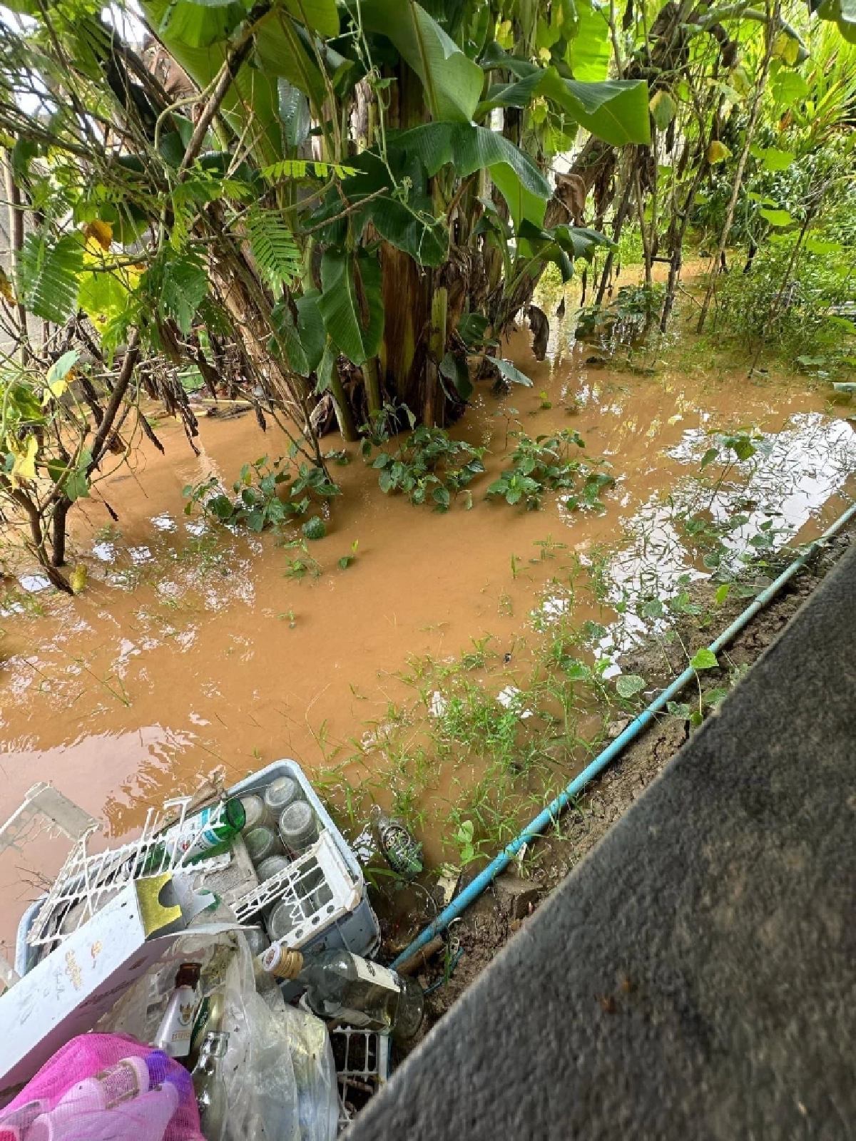 ฝนตกฤดูหนาว! ‘ลานีญา’ ยังไม่ลาไทย กระทบธุรกิจ-ห่วงโซ่อาหาร-การเกษตร