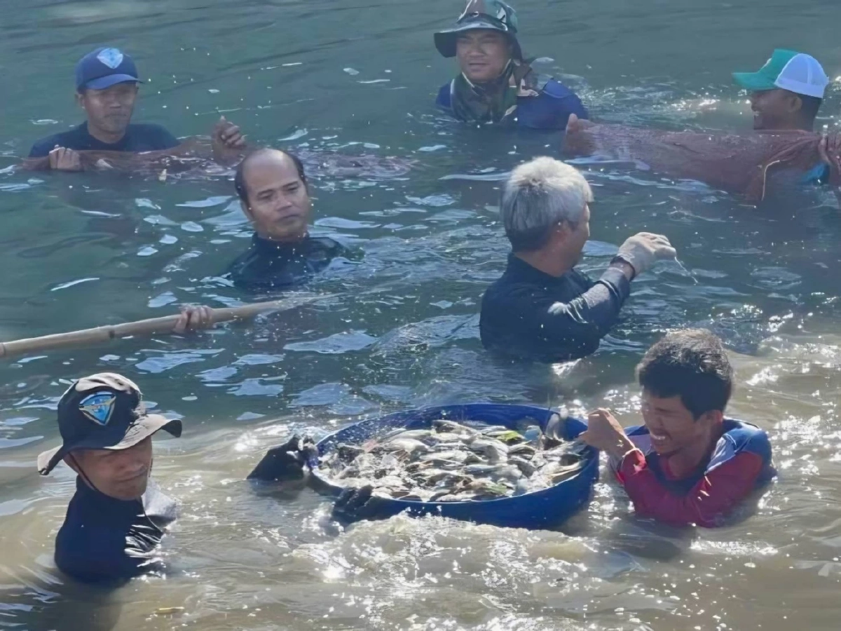 กรมประมงชี้ ปลาหมอคางดำลดลงแล้ว สะท้อนผลสำเร็จมาตรการบูรณาการทั่วประเทศ