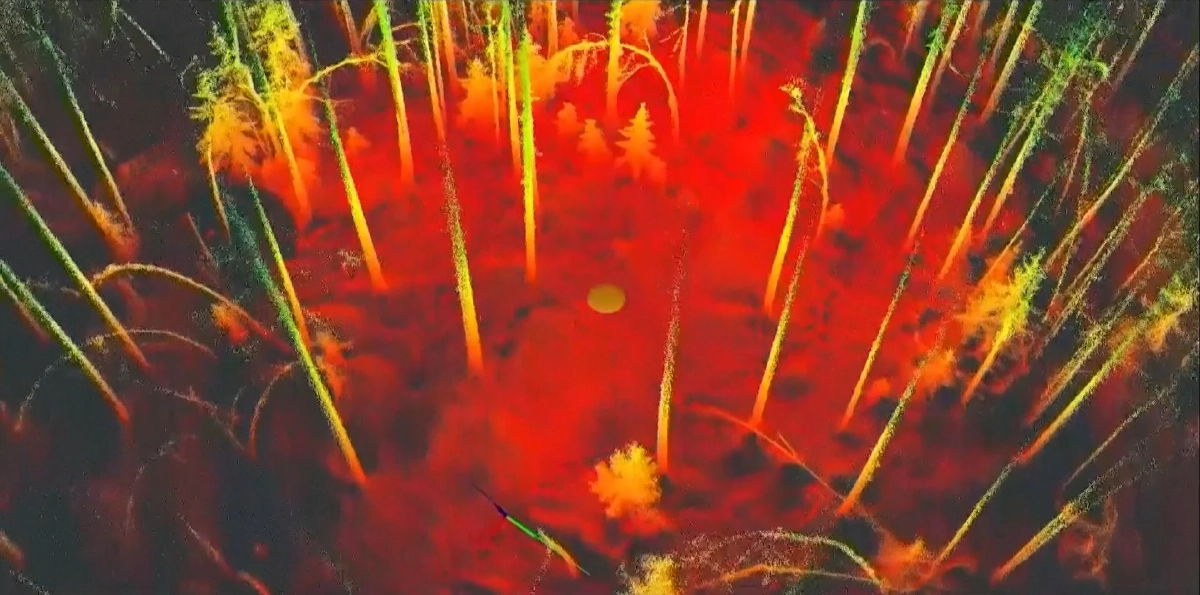 ยุโรปใช้ 'สุนัขหุ่นยนต์' สำรวจและปกป้องพื้นที่ป่าไม้ให้ยั่งยืน