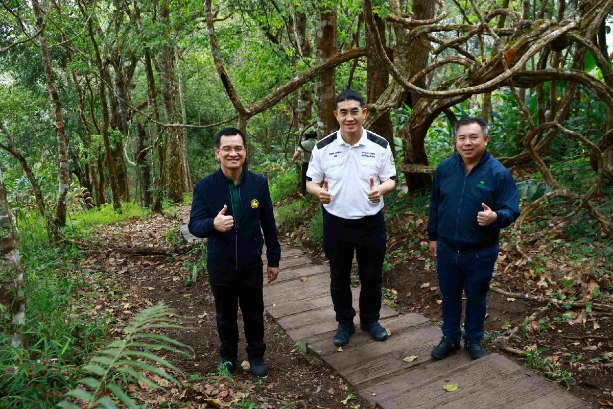 ส่งมอบ ‘เส้นทางศึกษาธรรมชาติยอดดอยปุย’ เส้นทางป่าหลังบ้านเมืองเชียงใหม่