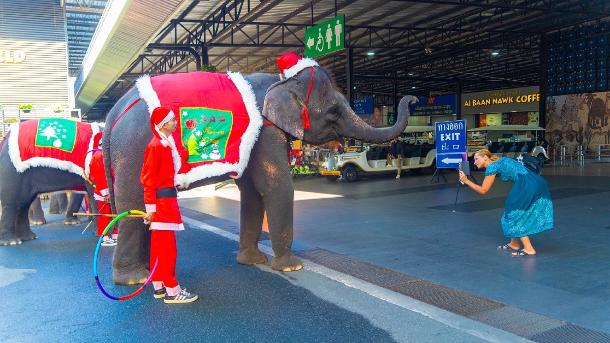 สวนนงนุชพัทยาจัดใหญ่! โชว์คริสต์มาสแฟนตาซีสุดอลังการ