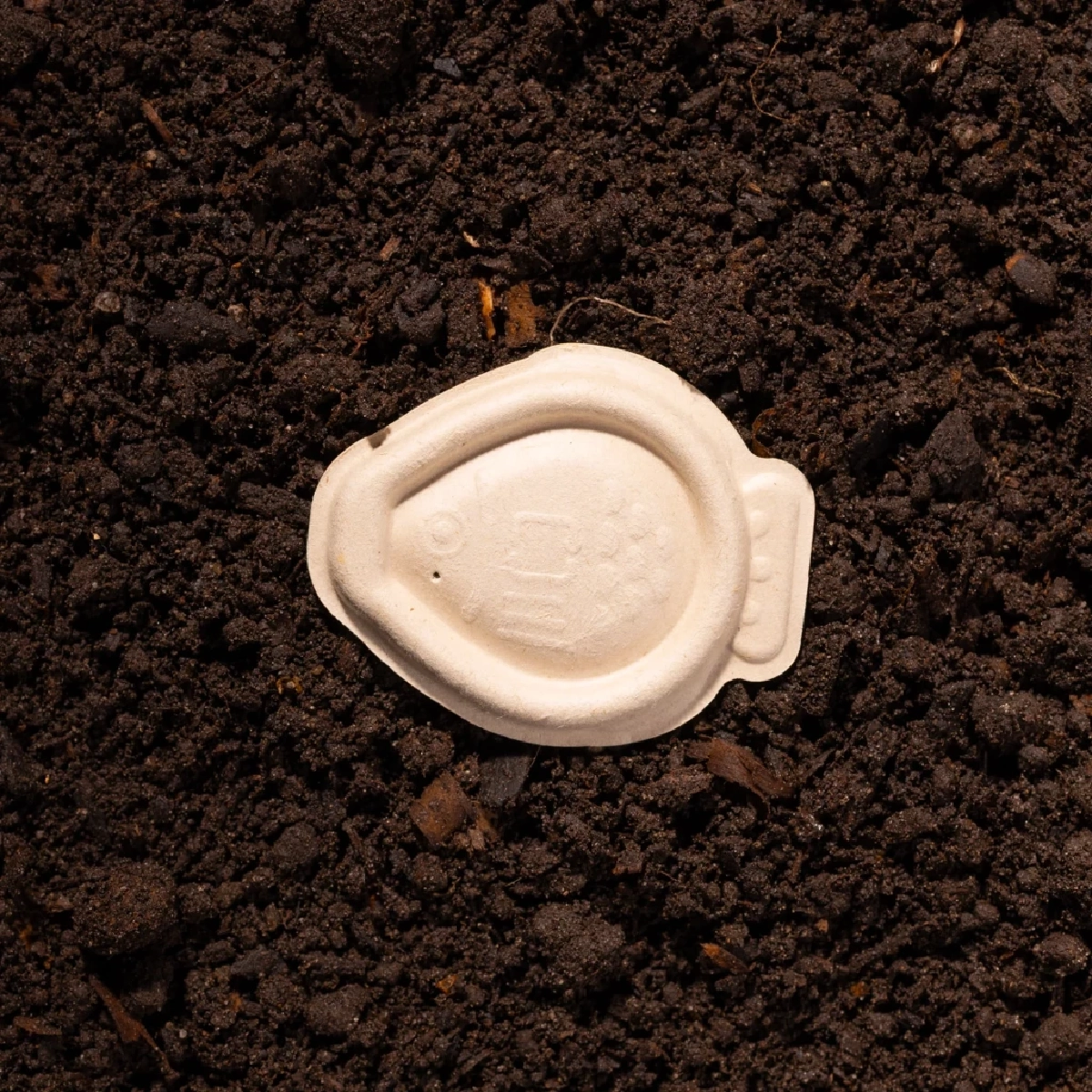 เปิดตัว “Holy Carp!” หลอดโชยุรูปปลาทำจากชานอ้อย ย่อยสลายได้ไวสุด