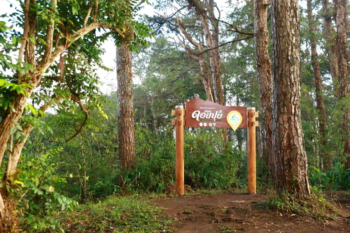 ส่งมอบ ‘เส้นทางศึกษาธรรมชาติยอดดอยปุย’ เส้นทางป่าหลังบ้านเมืองเชียงใหม่
